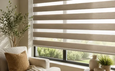 Zebra Dual Shades Explained: The Best of Both Light Control Worlds